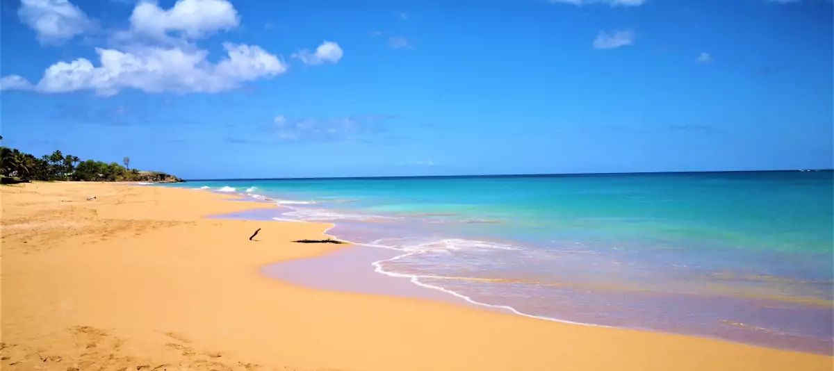 Plage à Deshaies en Guadeloupe