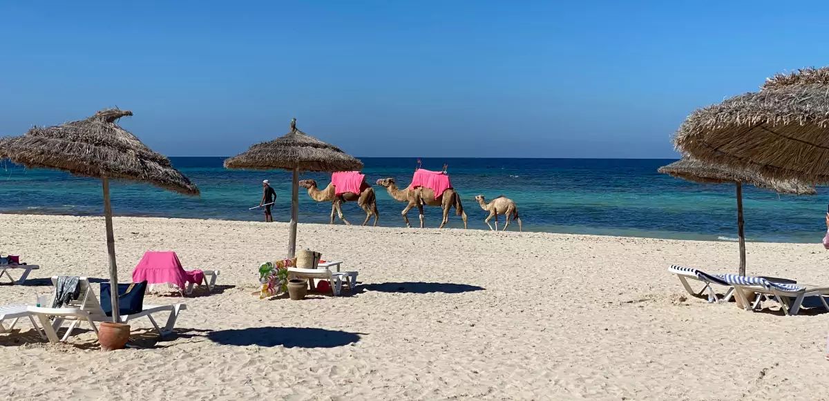 Plage de Djerba en Tunisie