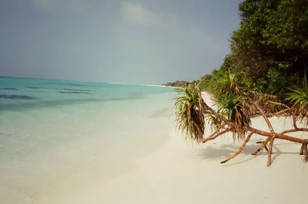 Plage de Fulhadhoo aux Maldives