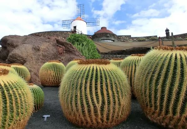Séjours pas cher Lanzarote