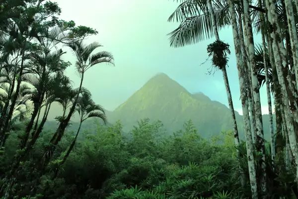 Parc Naturel en Martinique