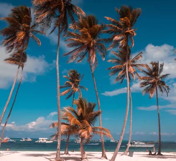 Plage à Punta Cana