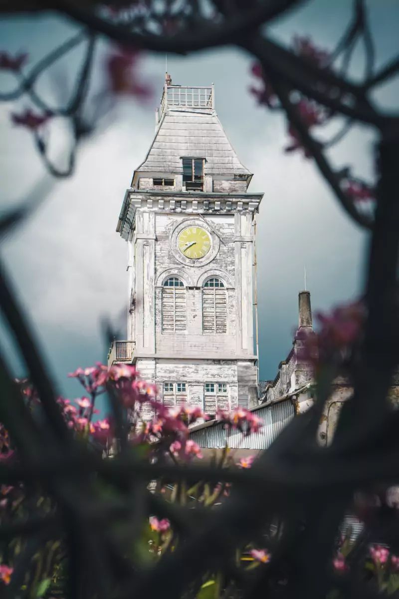 Tour de l'horloge