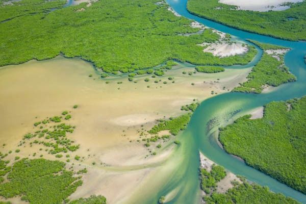Circuit Sénégal, entre savane et plage du Framissima Palm Beach 4* pas cher photo 5