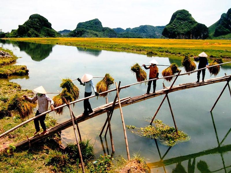 Circuit Beauté du Nord Vietnam pas cher photo 11