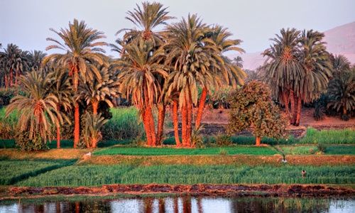 Circuit Duo Egyptien pas cher photo 3
