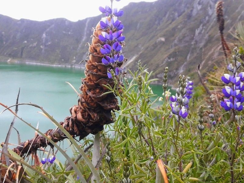 Les énergies des Andes pas cher photo 7
