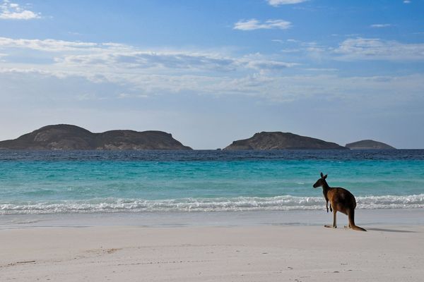 Splendeurs d'Australie & Extension Cairns 17J/13N - 2025/2026 pas cher photo 4