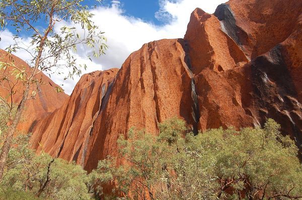 Splendeurs d'Australie & Extension Cairns 17J/13N - 2025/2026 pas cher photo 5