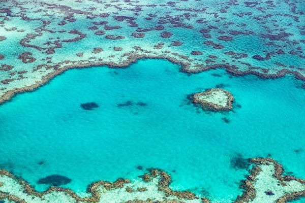 Splendeurs d'Australie & Extension Cairns 17J/13N - 2025/2026 pas cher photo 25