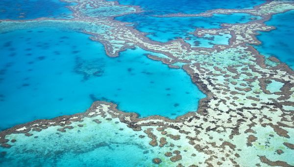 Splendeurs d'Australie & Extension Cairns 17J/13N - 2025/2026 pas cher photo 26