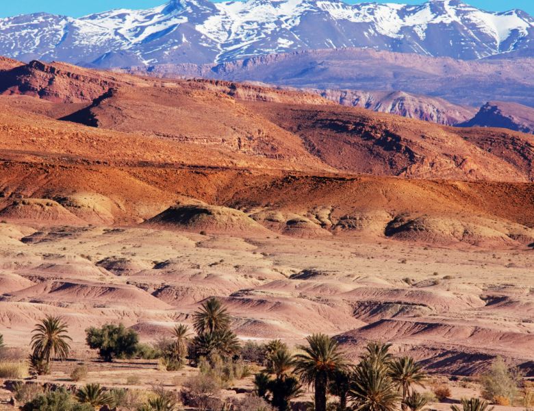 Marrakech et les trésors cachés des montagnes de l'Atlas pas cher photo 15