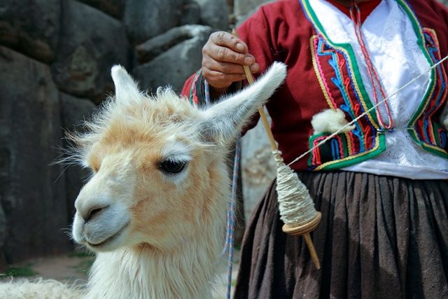 Douceurs au Pays des Incas & Extension Nazca 14J/12N - 2025 pas cher photo 5