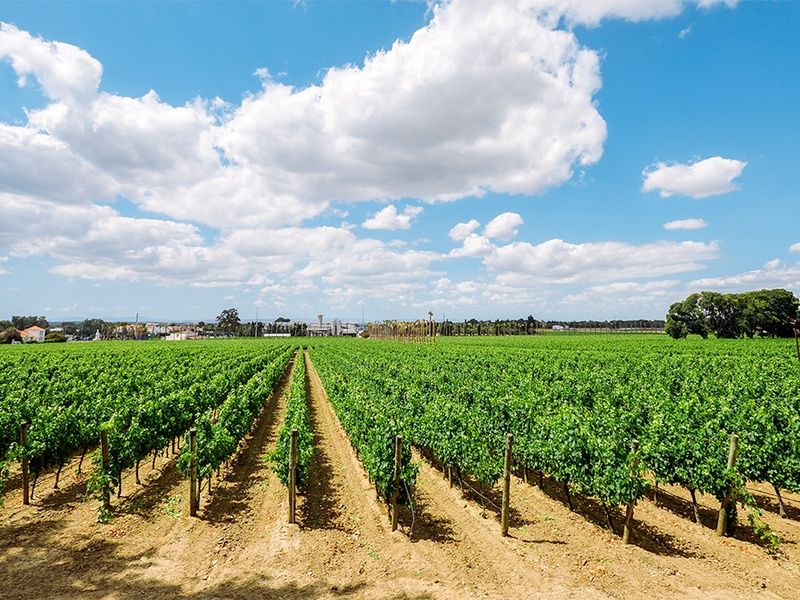Autotour Ma belle Lusitanie De Porto à Lisbonne 4* pas cher photo 11