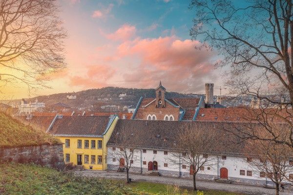 Circuit Féérie hivernale au coeur des fjords norvégiens pas cher photo 4