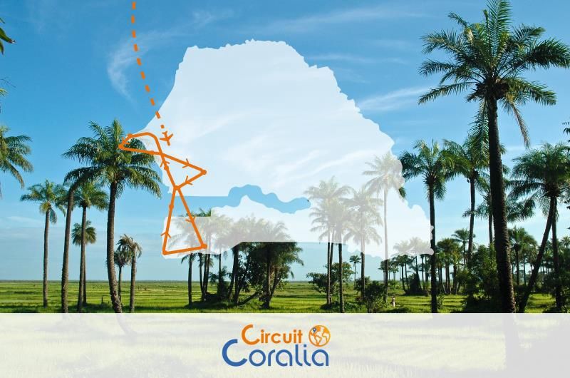Circuit Coralia Casamance Authentique & Extension Royal Horizon Baobab 4* pas cher photo 1