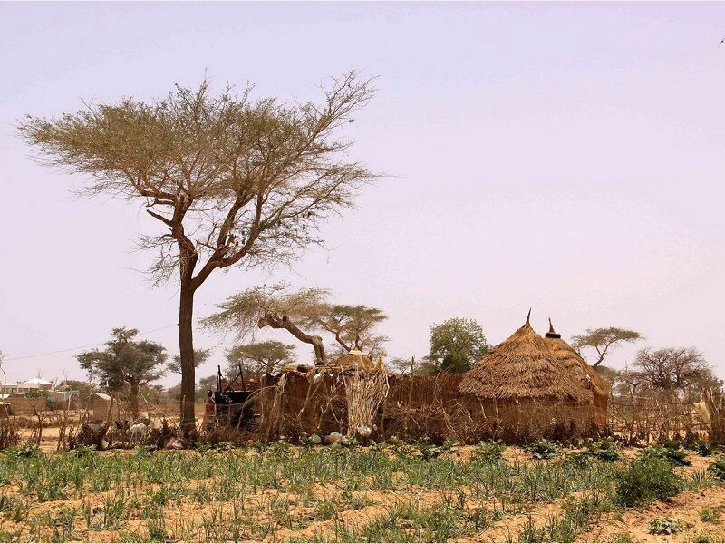 Circuit Coralia Casamance Authentique & Extension Royal Horizon Baobab 4* pas cher photo 6