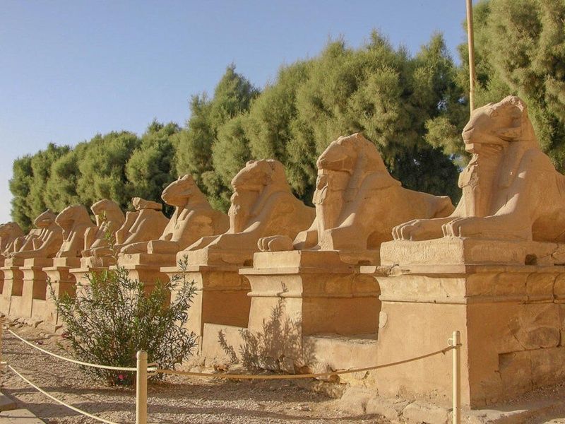 Combiné Fabuleuse Egypte et Protels Beach Club et Spa 4* Marsa Alam pas cher photo 13