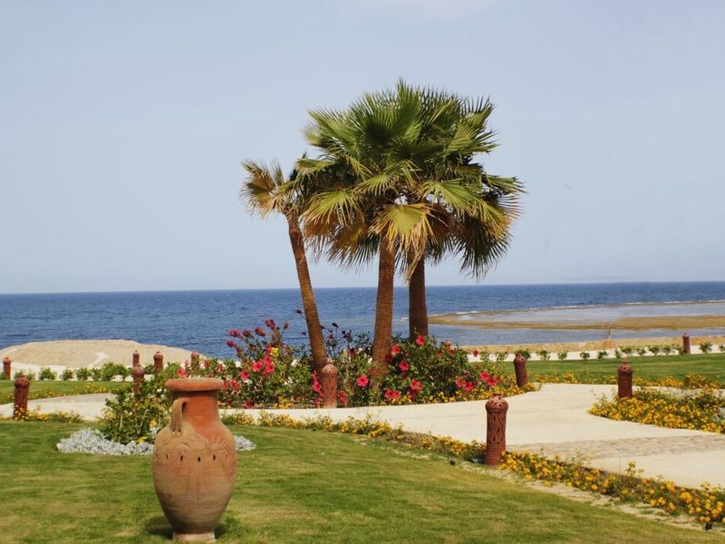 Combiné Fabuleuse Egypte 5* & Concorde Moreen Beach 5* pas cher photo 31