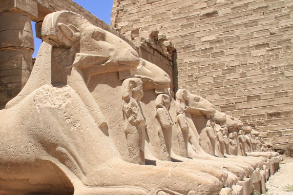 Combiné Des Mystères du Nil en Dahabeya à la Mer Rouge 4/5* pas cher photo 15