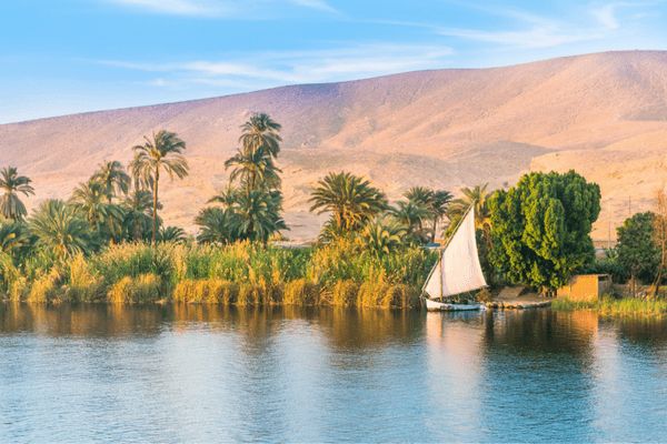 Combiné Des Mystères du Nil en Dahabeya à la Mer Rouge 4/5* pas cher photo 26