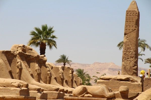 Combiné Papyrus et Pyramides d'Egypte pas cher photo 5