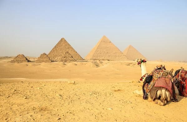 Combiné Papyrus et Pyramides d'Egypte pas cher photo 6