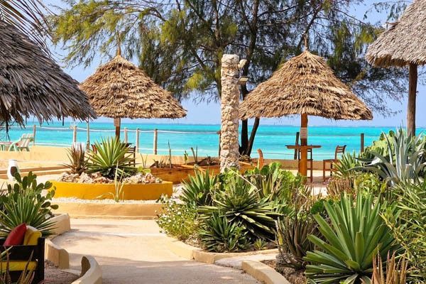 Hôtel Club Jumbo Reef Beach Resort 4* et Safari pas cher photo 12