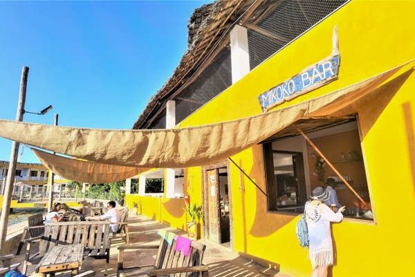 Hôtel Club Jumbo Reef Beach Resort 4* et Safari pas cher photo 28