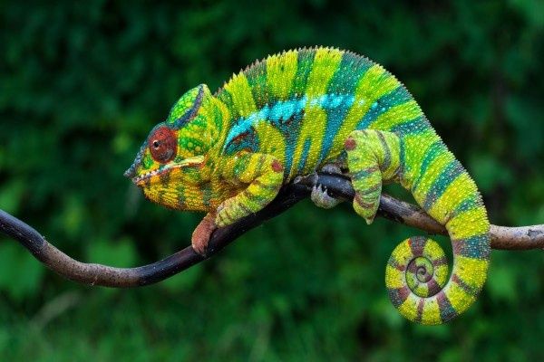 Circuit Couleurs du Nord Madagascar pas cher photo 3