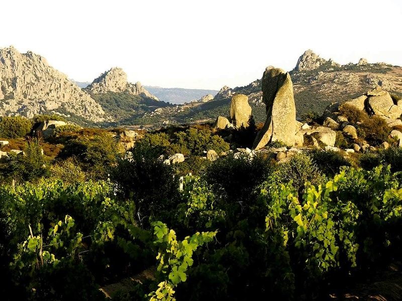 Circuit Joyaux de Sardaigne pas cher photo 6