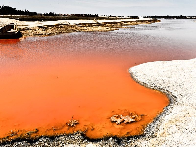 Circuit Merveilles du Sénégal 3* pas cher photo 4