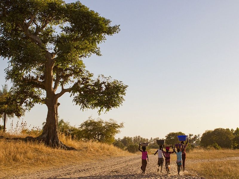 Balade Sénégalaise 3* pas cher photo 4