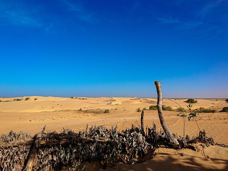 Balade Sénégalaise 3* pas cher photo 7