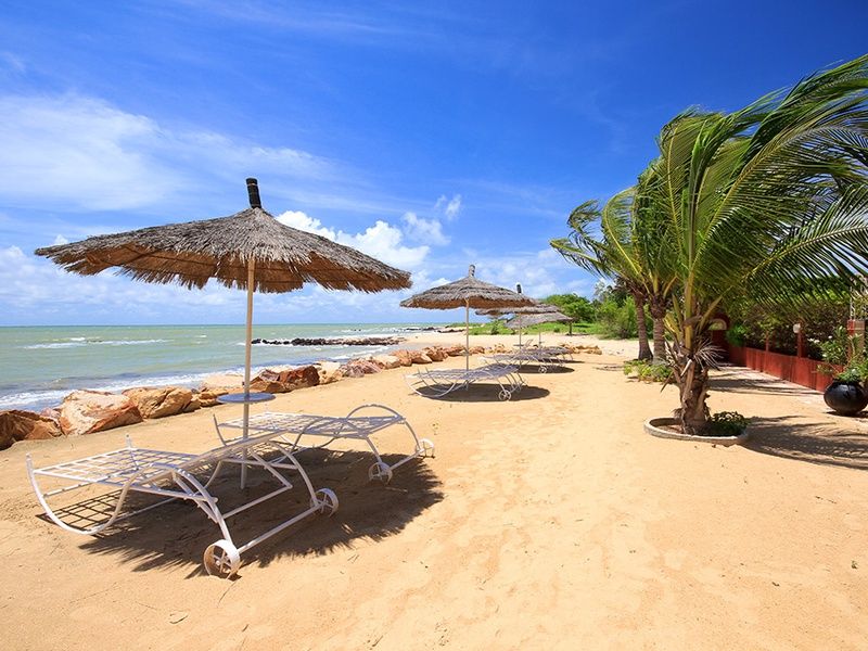 Circuit Découverte de la Mangrove 3* pas cher photo 4