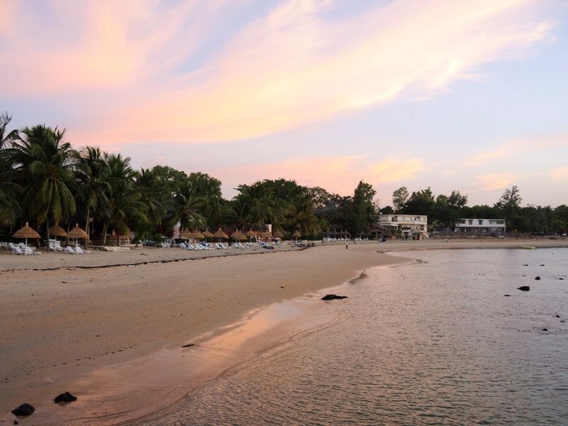 Circuit Découverte de la Mangrove 3* pas cher photo 5