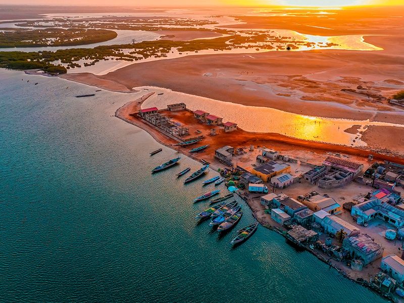 Circuit Découverte de la Mangrove 3* pas cher photo 6