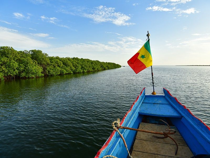 Circuit Découverte de la Mangrove 3* pas cher photo 7