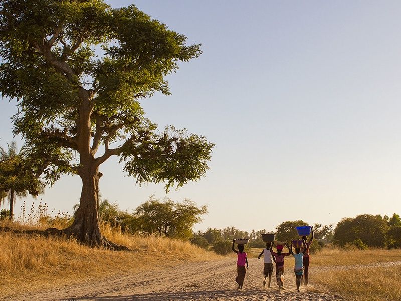 Circuit Découverte de la Mangrove 3* pas cher photo 9