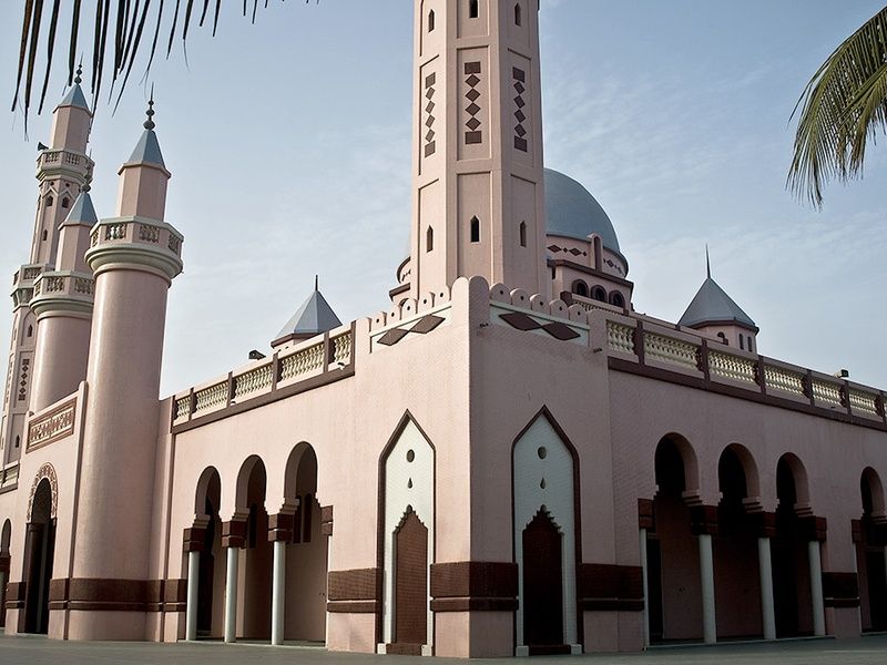 Circuit Découverte de la Mangrove 3* pas cher photo 10