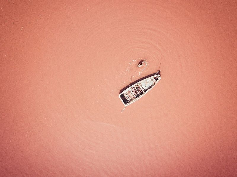 Circuit Découverte de la Mangrove 3* pas cher photo 11