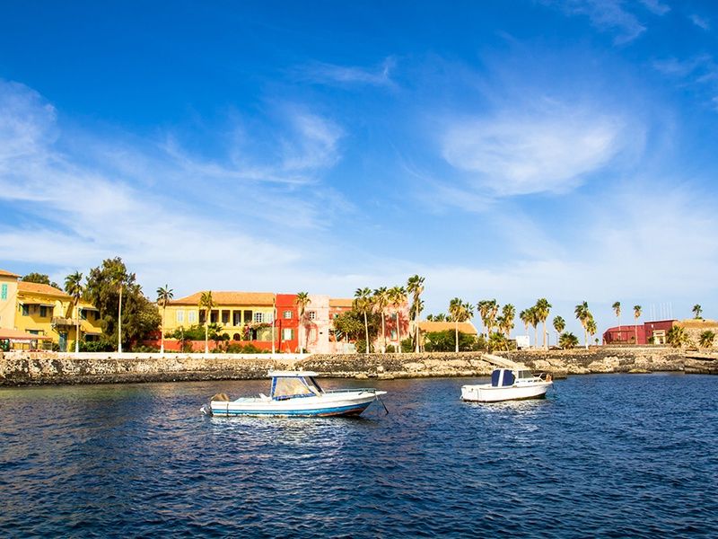 Circuit Découverte de la Mangrove 3* pas cher photo 13