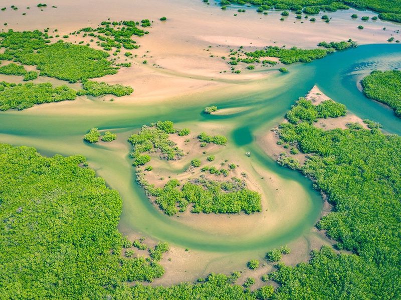 Circuit Découverte de la Mangrove 3* pas cher photo 14