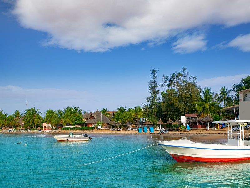 Circuit Découverte de la Mangrove 3* pas cher photo 15