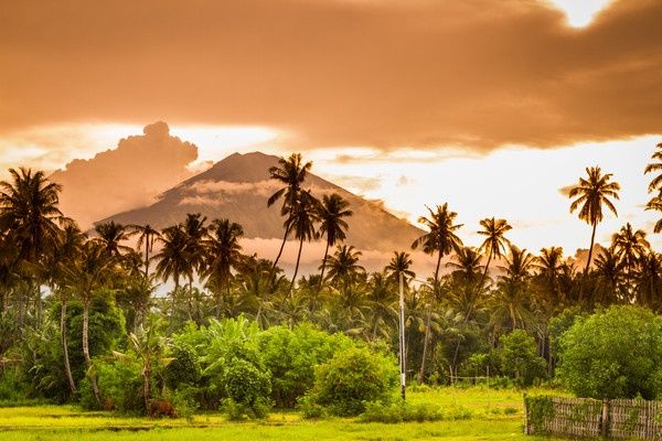 Combiné circuit et hôtel Balade à Bali et 3 nuits au Framissima Évasion Bali Tropic 5* pas cher photo 4