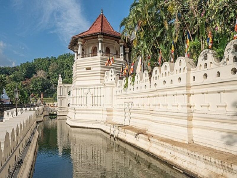Circuit au Sri Lanka: L'île émeraude - De Colombo A Colombo pas cher photo 7
