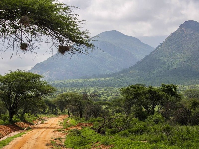 Circuit Privatif Safari Féeries d'Afrique pas cher photo 5