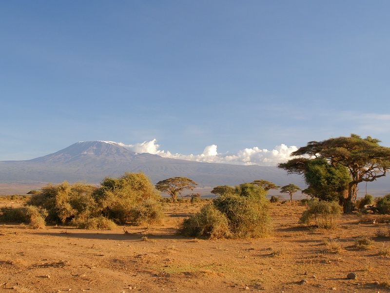Circuit Privatif Safari Féeries d'Afrique pas cher photo 6