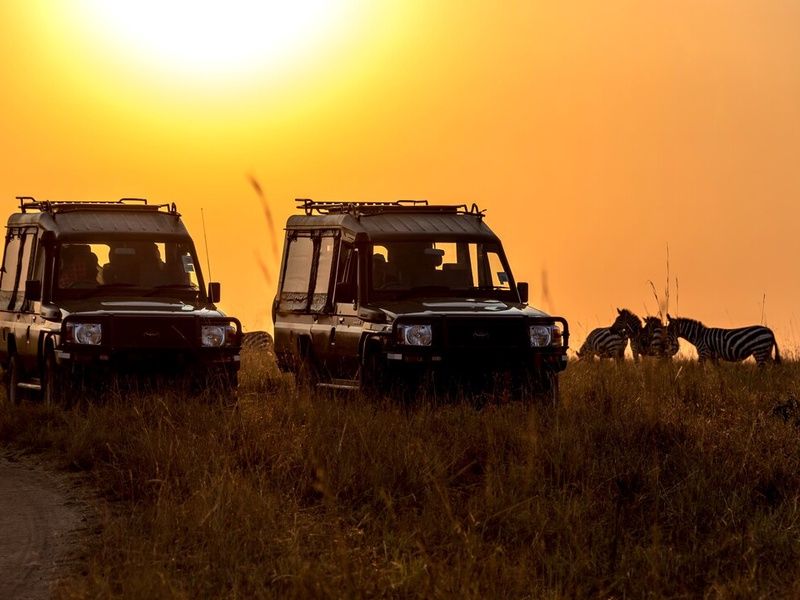 Circuit Privatif Safari Féeries d'Afrique pas cher photo 9