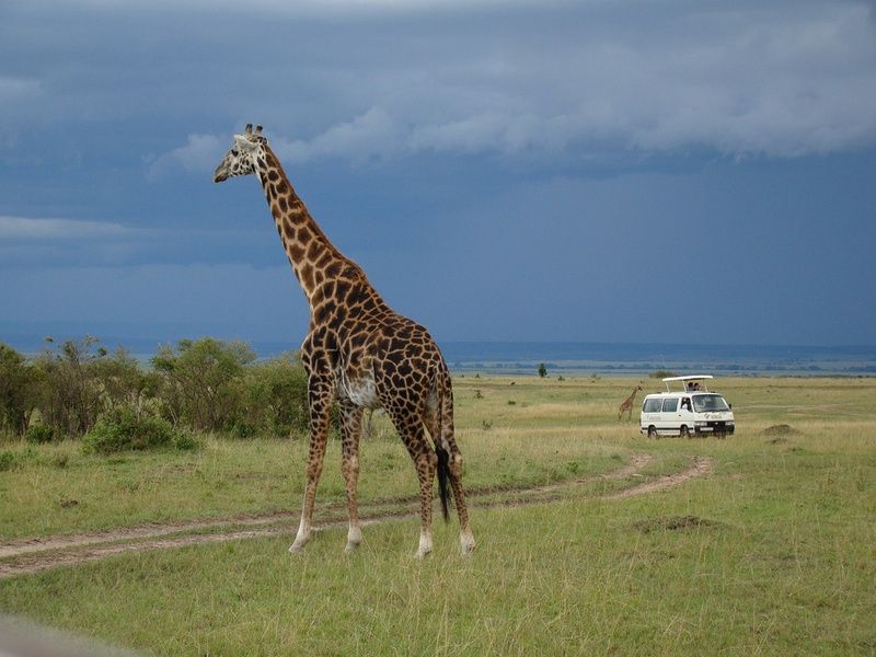 Circuit Privatif Safari Féeries d'Afrique pas cher photo 12